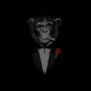 Meet your Posher, Armando